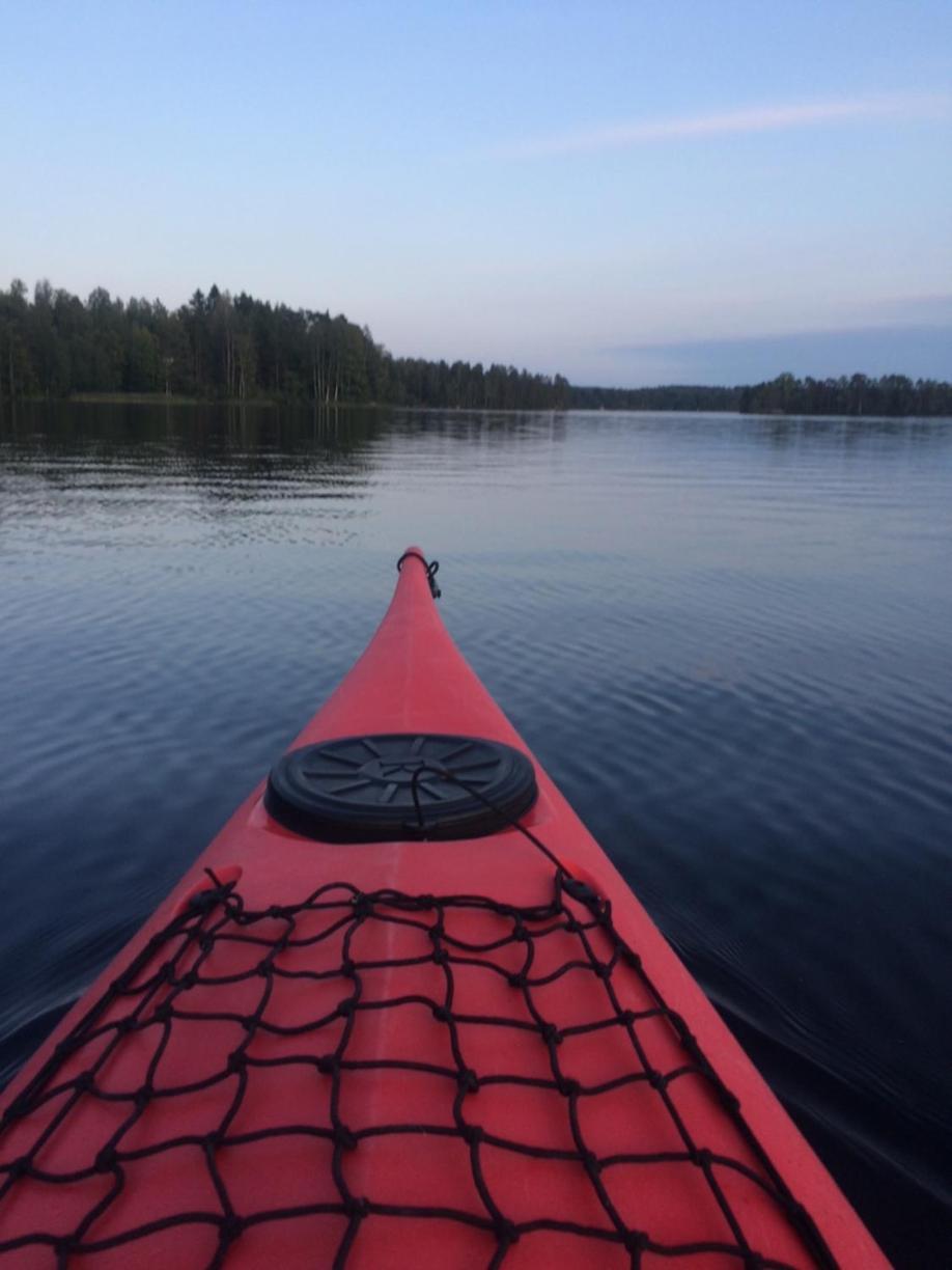 Linkkumylly Cottages Mäntyharju Kültér fotó